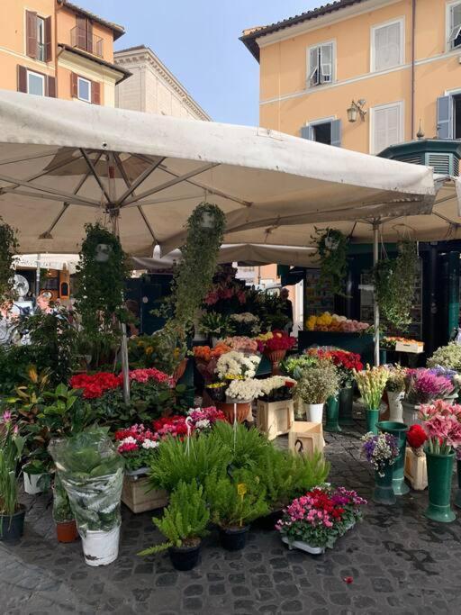 Casa Cristina In Piazza Farnese Daire Roma Dış mekan fotoğraf